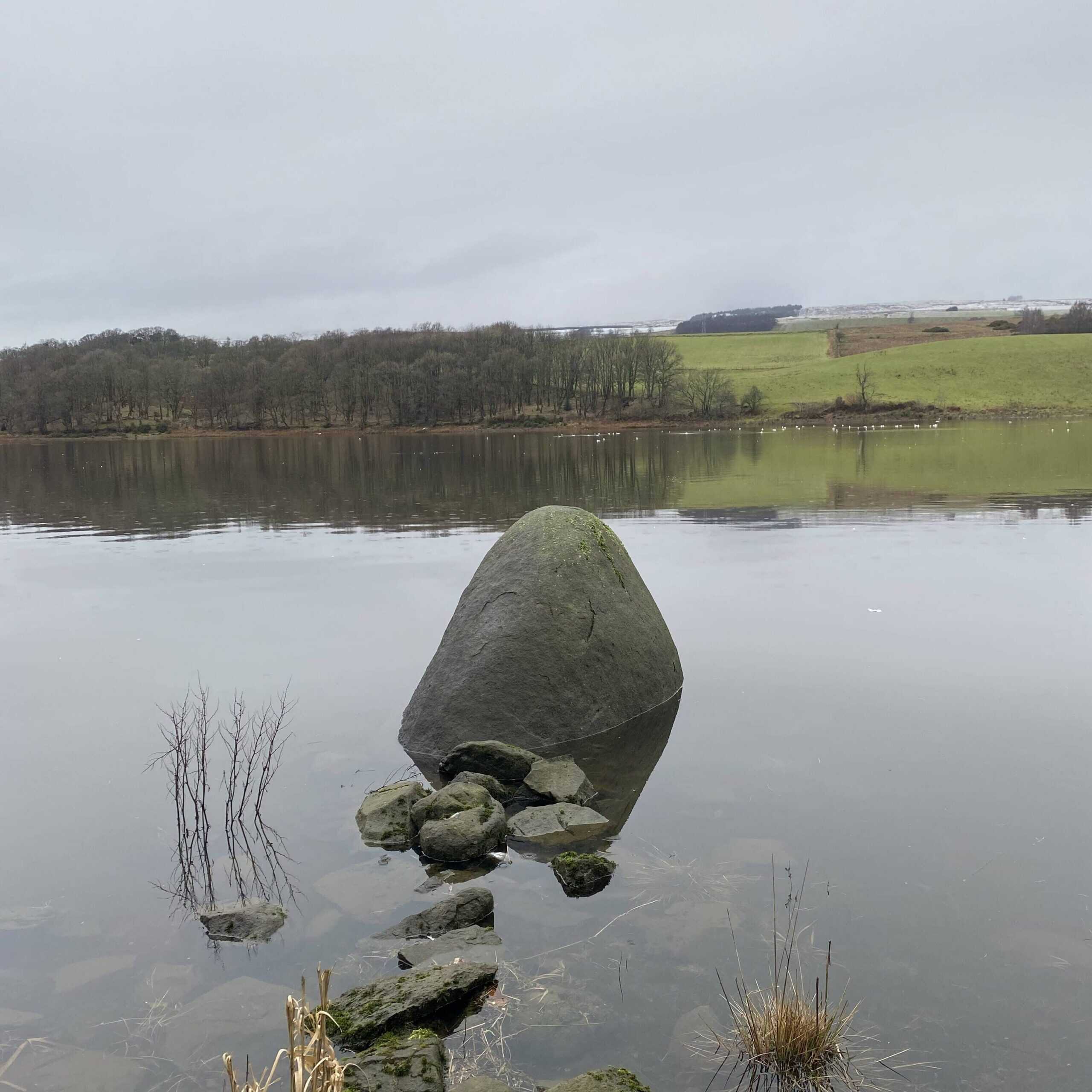 Lakeside scene featuring a large stone in calm water with overcast sky and distant greenery.