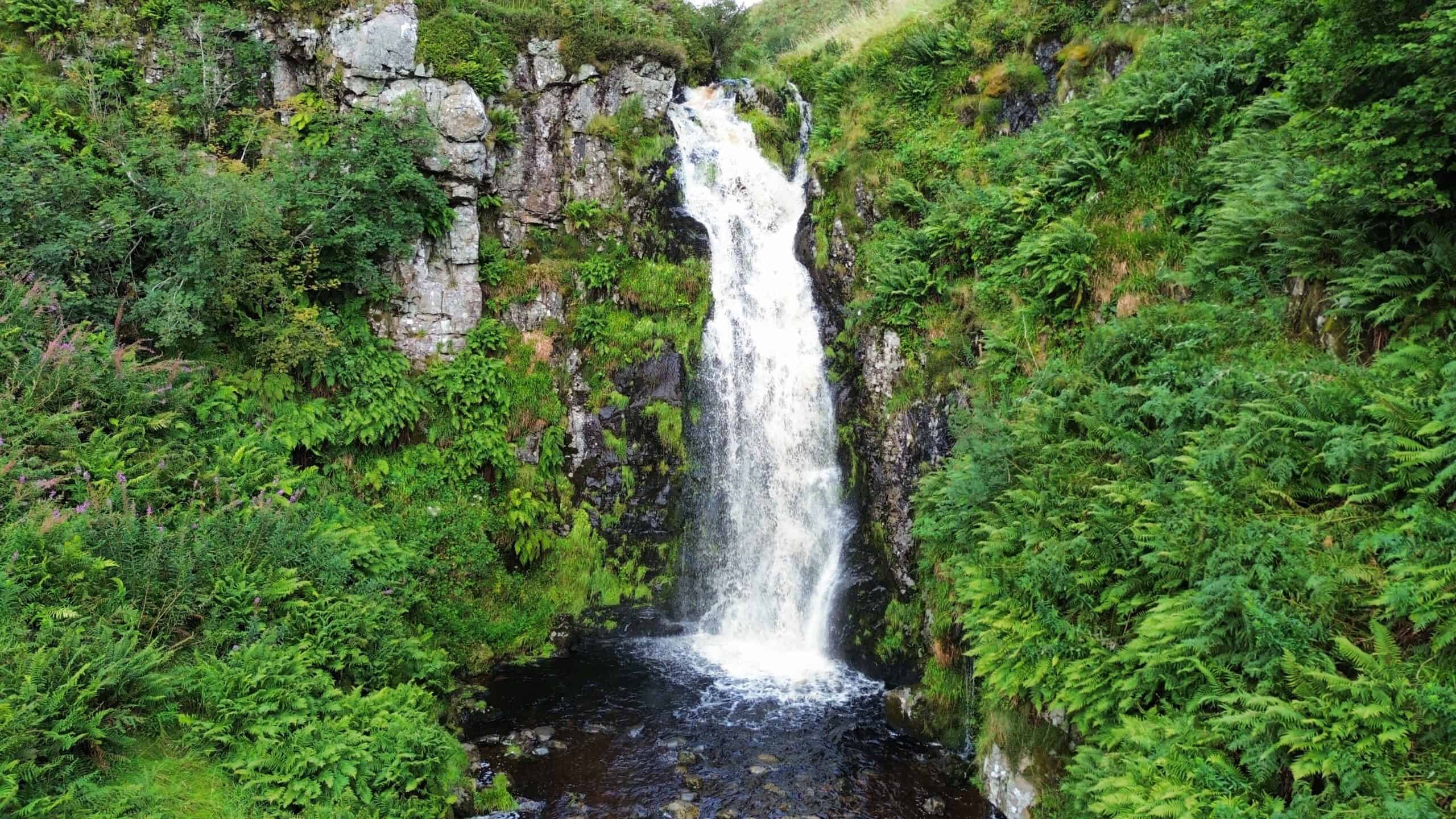 Waterfall surrounded by lush green foliage and rocks in a natural forest setting.