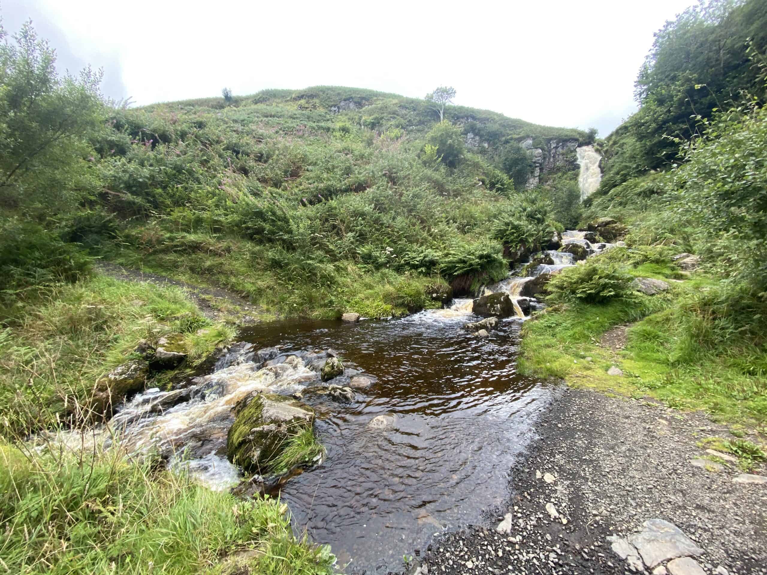Tranquil mountain stream with lush green surroundings and a hiking trail.